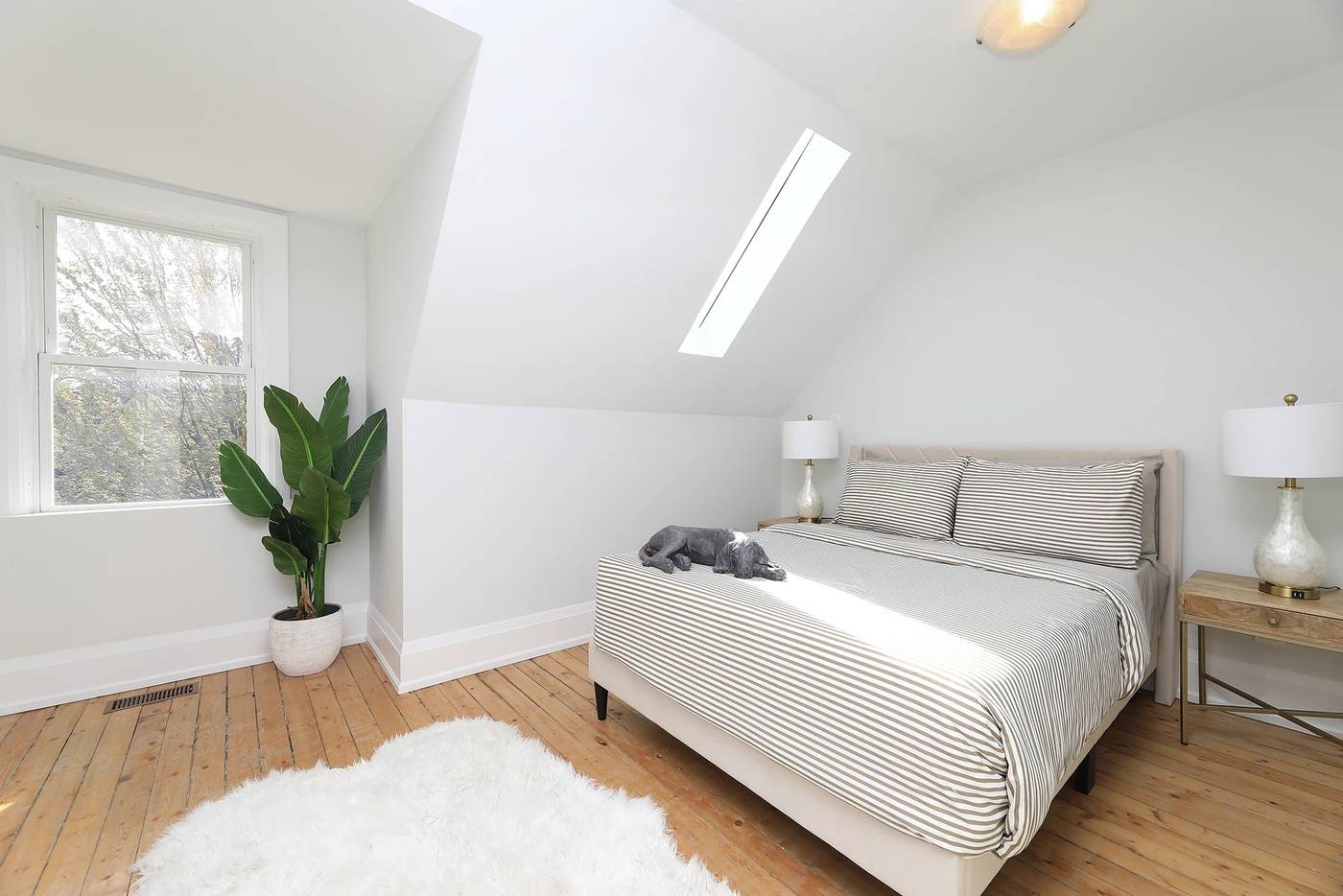 38 & 40 Cedarvale Avenue Toronto