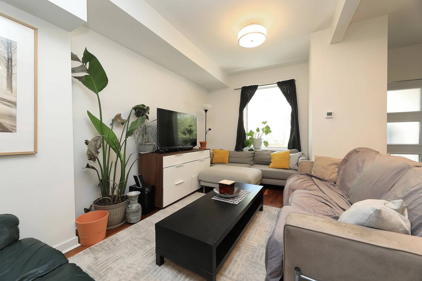 38 & 40 Cedarvale Avenue Toronto