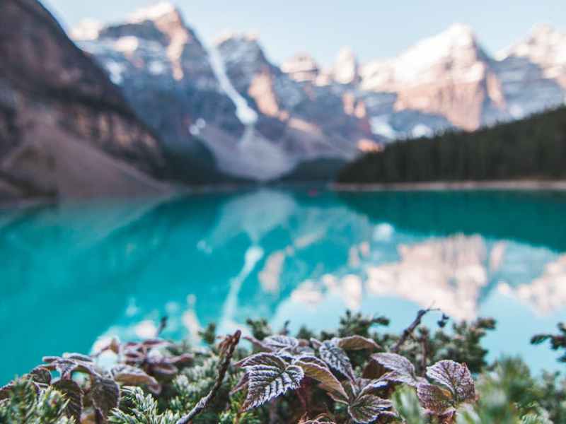 Why Alberta Home Prices Are Rising – Even as Sales&nbsp;Stagnate