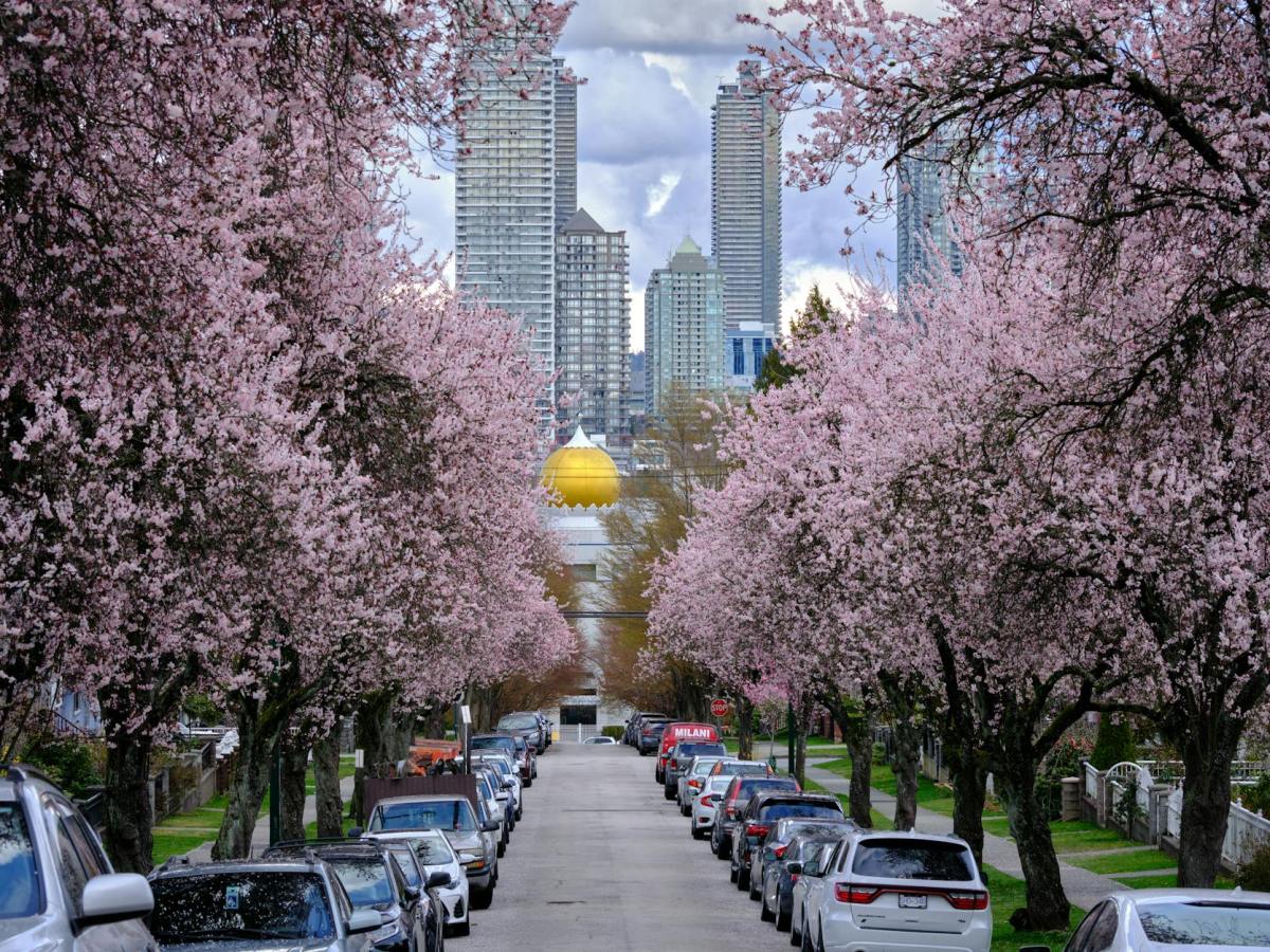 RBC Says Canada’s Spring Housing Market Still Hasn’t Taken&nbsp;Off
