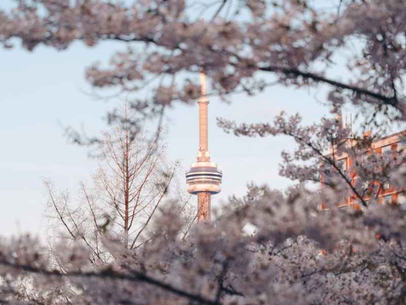 Canada’s Aging Population Could Create a Major Housing Shift by&nbsp;2030