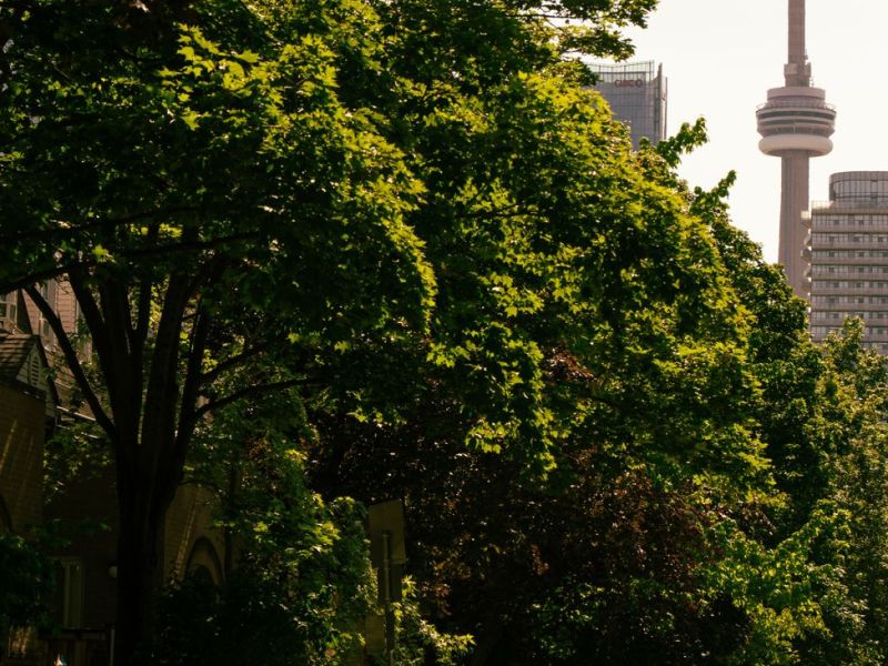 Toronto’s Condo Crash May Not Bottom Until 2028, TD&nbsp;Warns